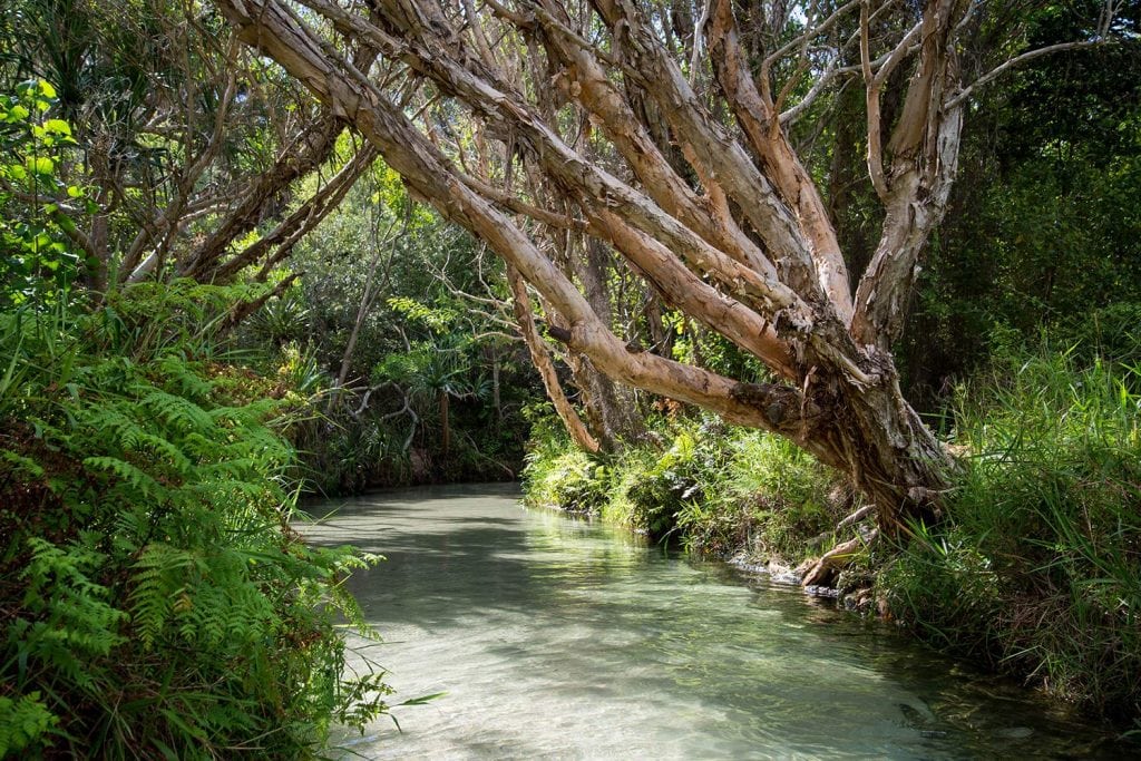 Eli Creek