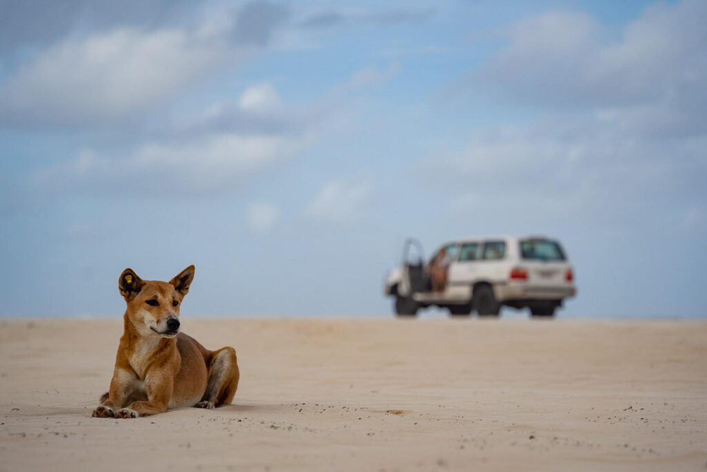 Kgari Fraser Island Adventures (60)