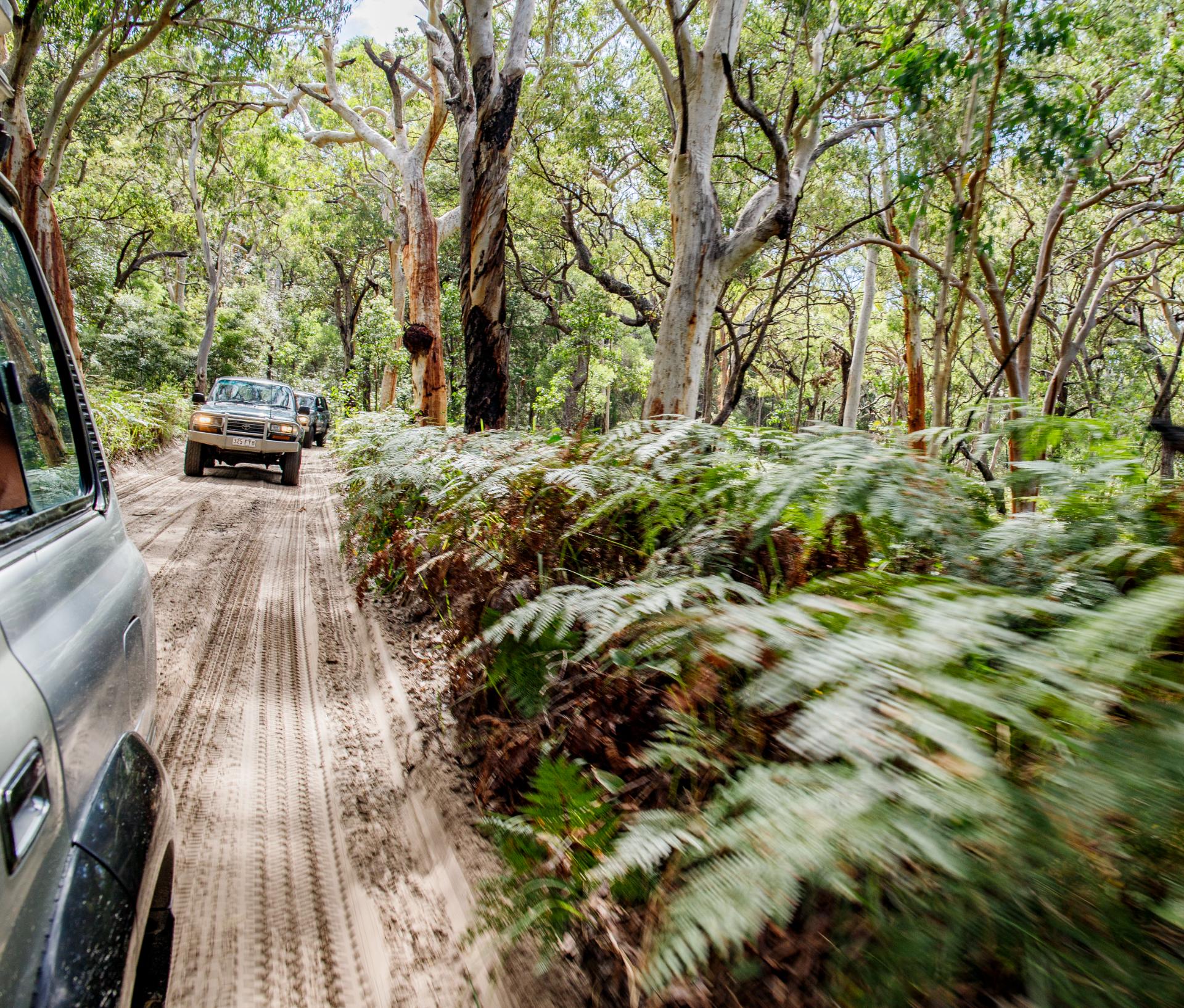 Kgari Fraser Island Adventures (65)