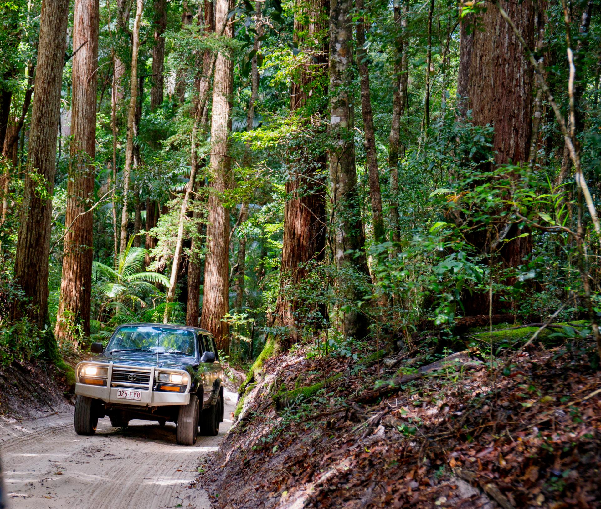 Kgari Fraser Island Adventures (66)