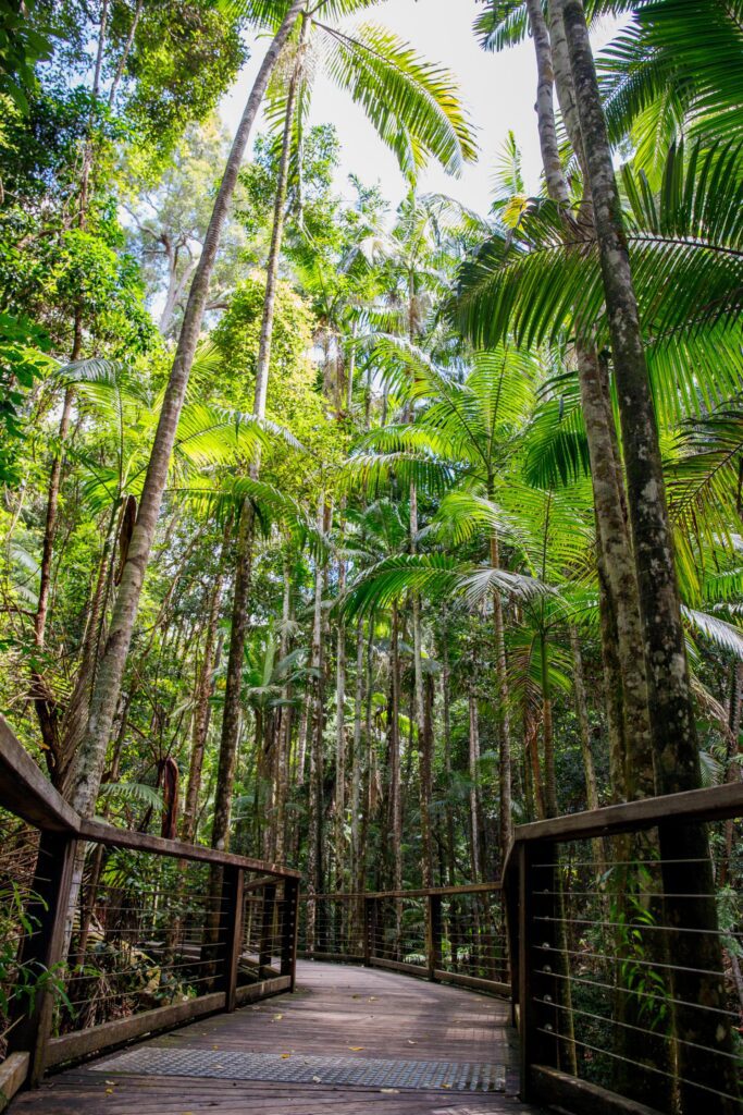 Kgari Fraser Island Adventures (69)