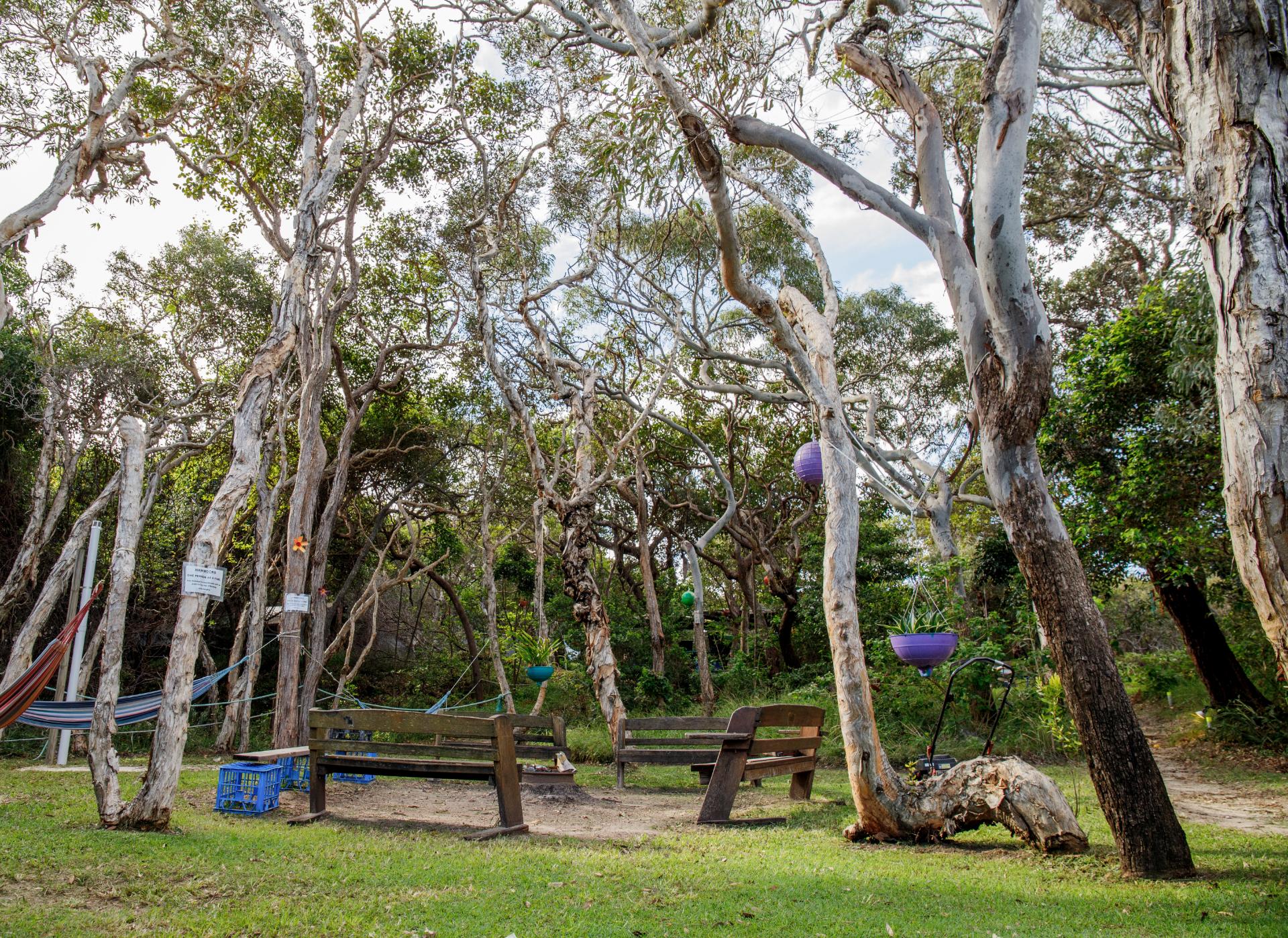 Kgari Fraser Island Adventures (76)
